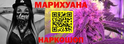 гашик Бердск