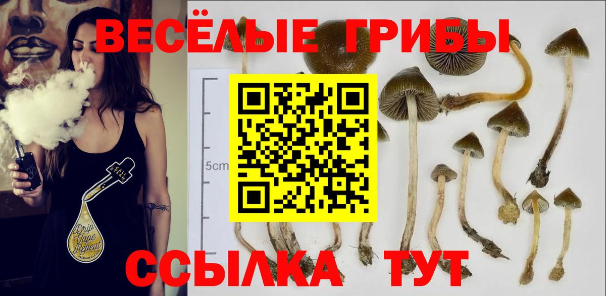 Галлюциногенные грибы прущие грибы Кувандык