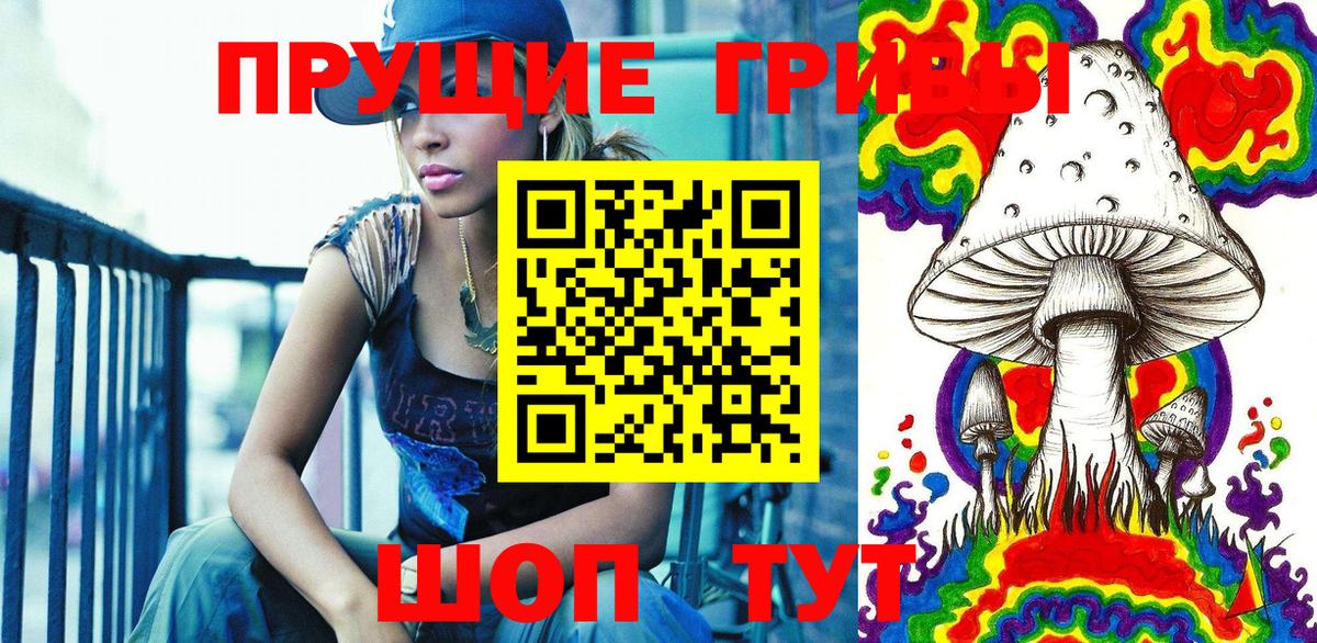 Галлюциногенные грибы Psilocybe  Псилоцибиновые грибы MAGIC MUSHROOMS  Вход с VPN  Кувандык 